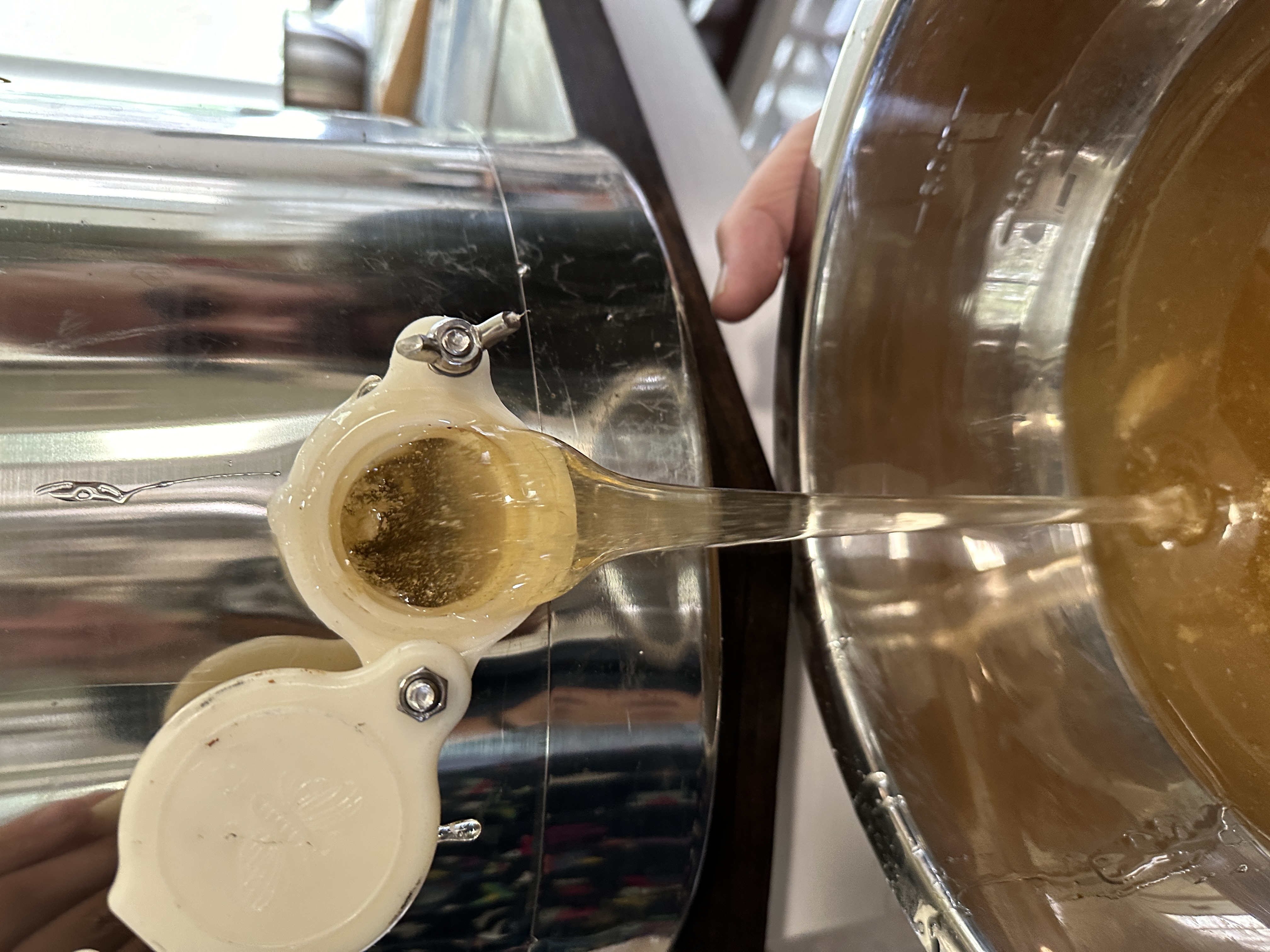 Honey Harvest